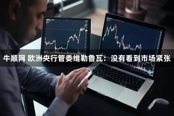 牛顺网 欧洲央行管委维勒鲁瓦：没有看到市场紧张
